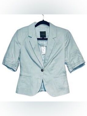 The Limited Light Blue Cropped Blazer